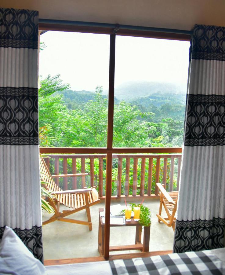 Rainforest Nature House Deniyaya Exteriér fotografie