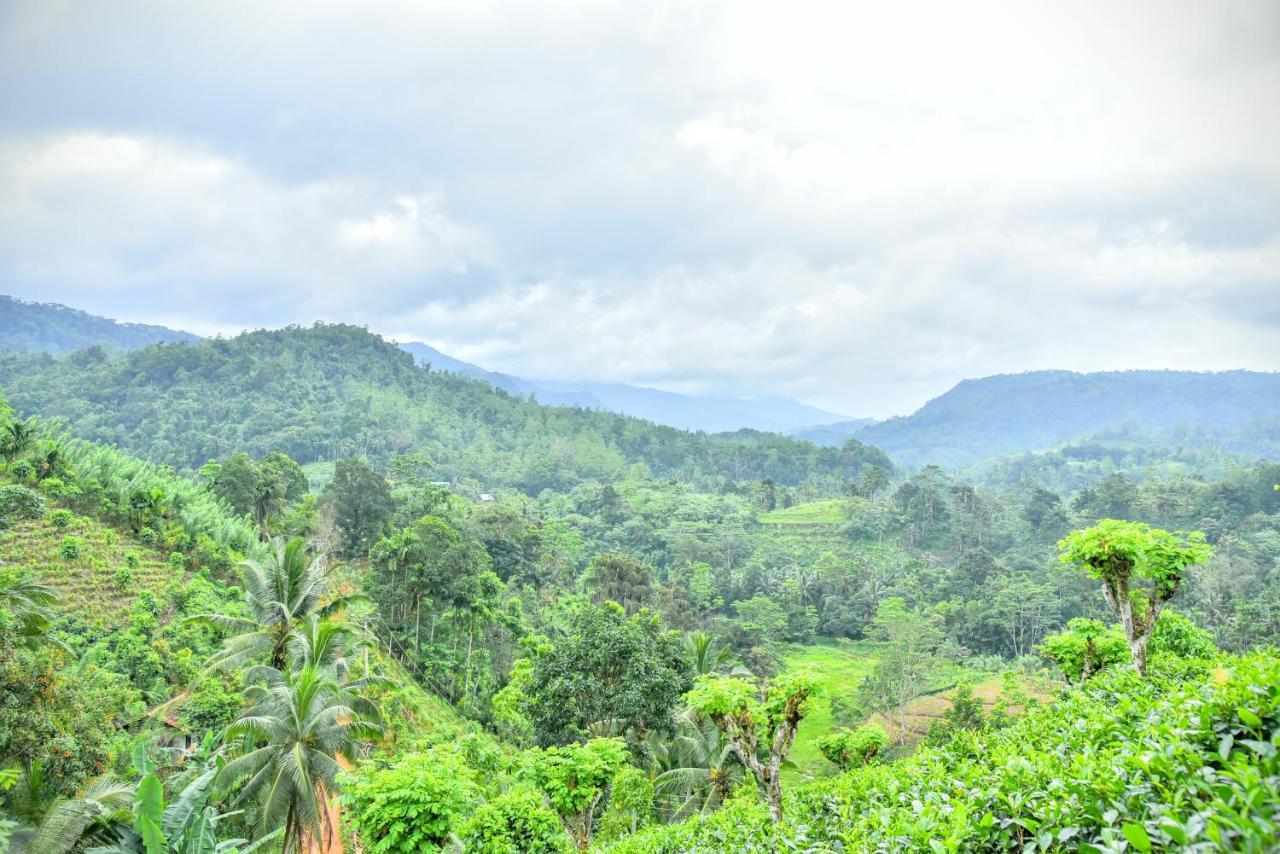 Rainforest Nature House Deniyaya Exteriér fotografie