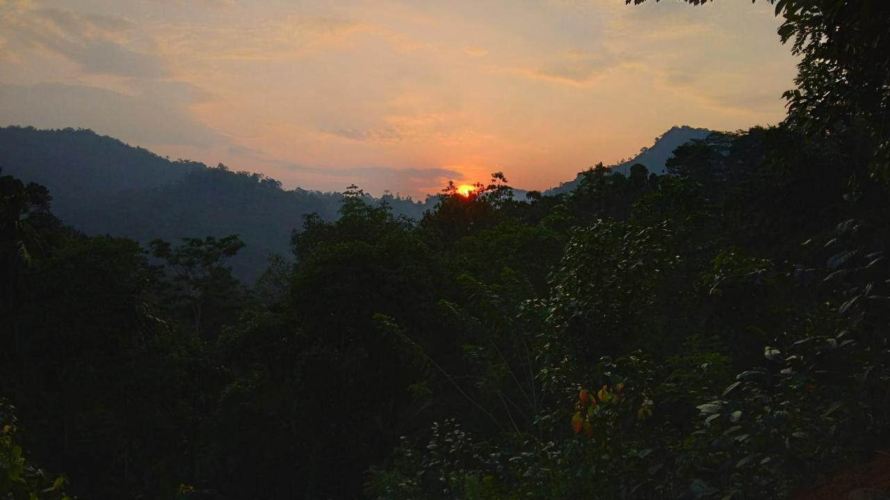 Rainforest Nature House Deniyaya Exteriér fotografie