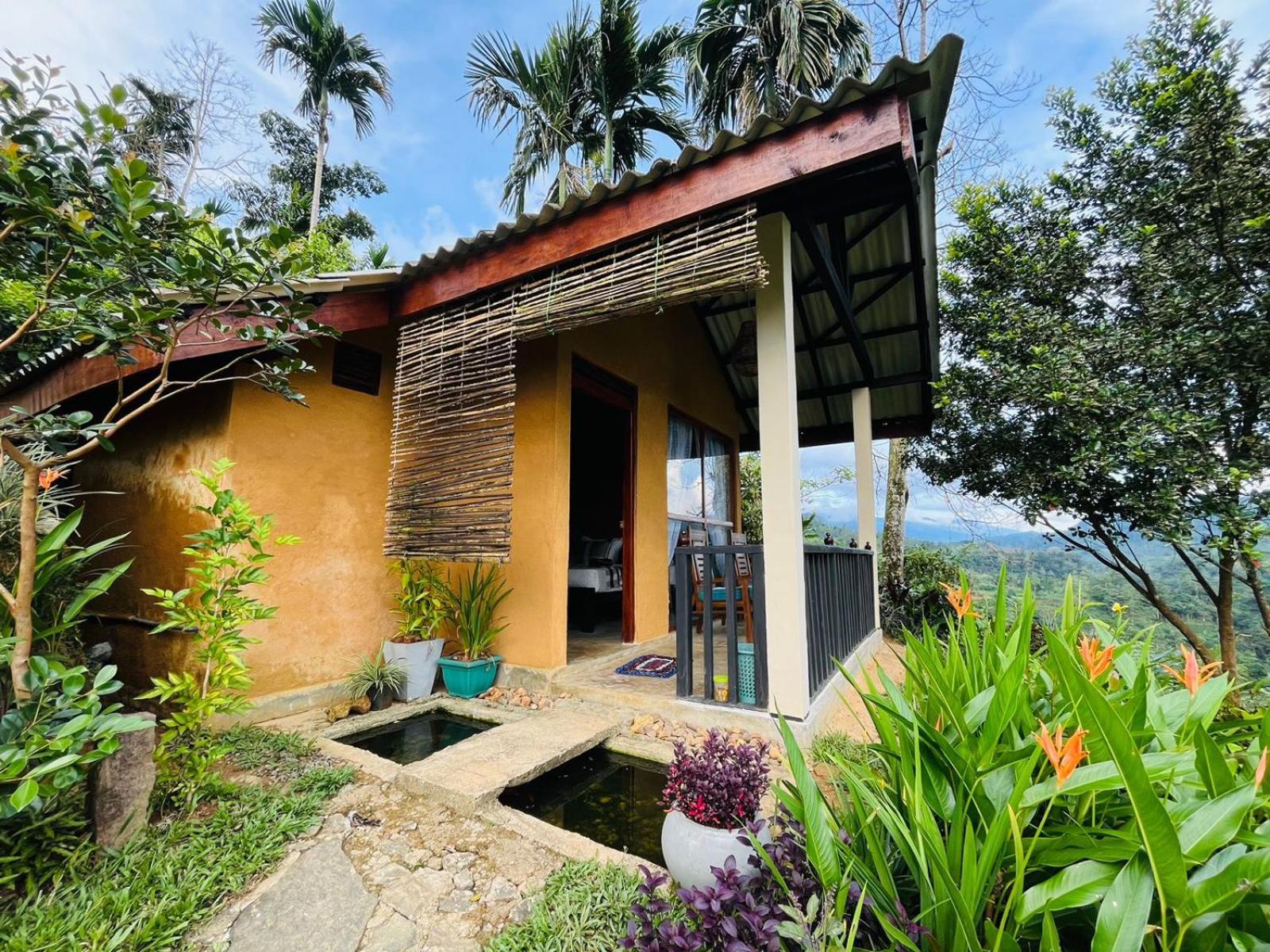 Rainforest Nature House Deniyaya Exteriér fotografie