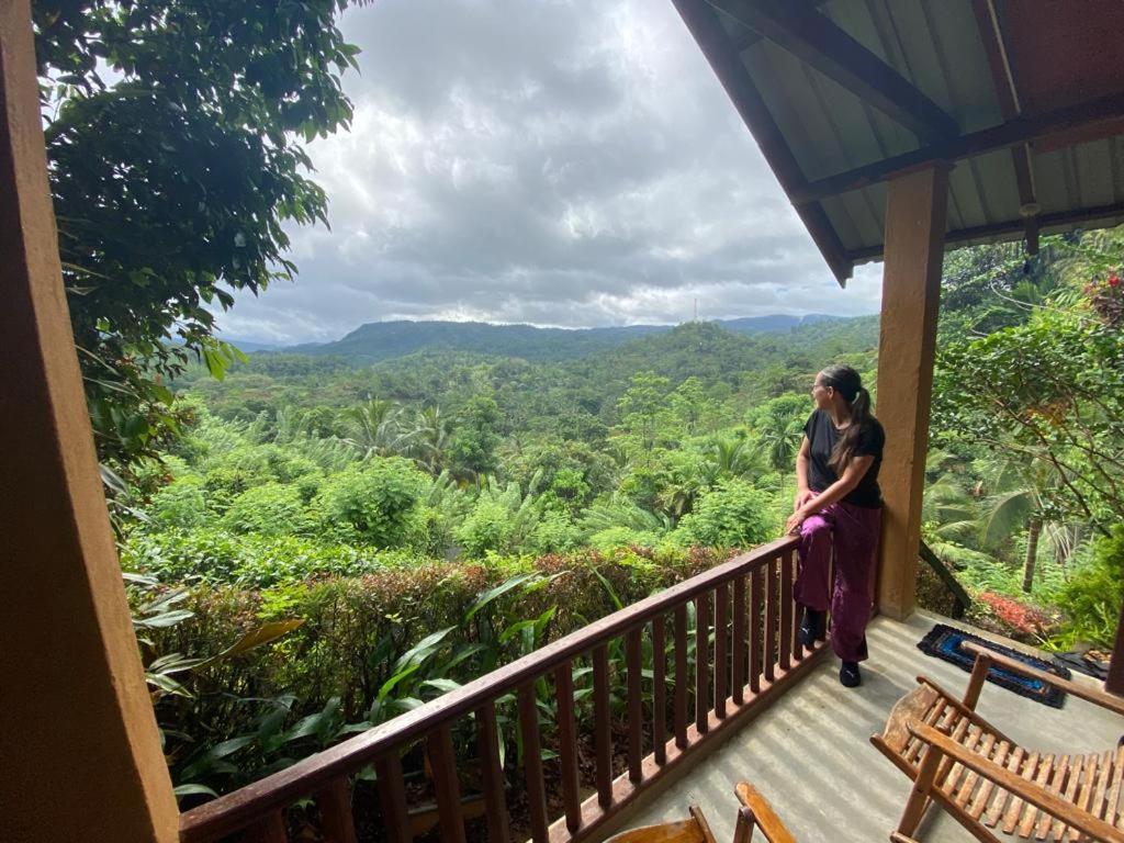 Rainforest Nature House Deniyaya Exteriér fotografie