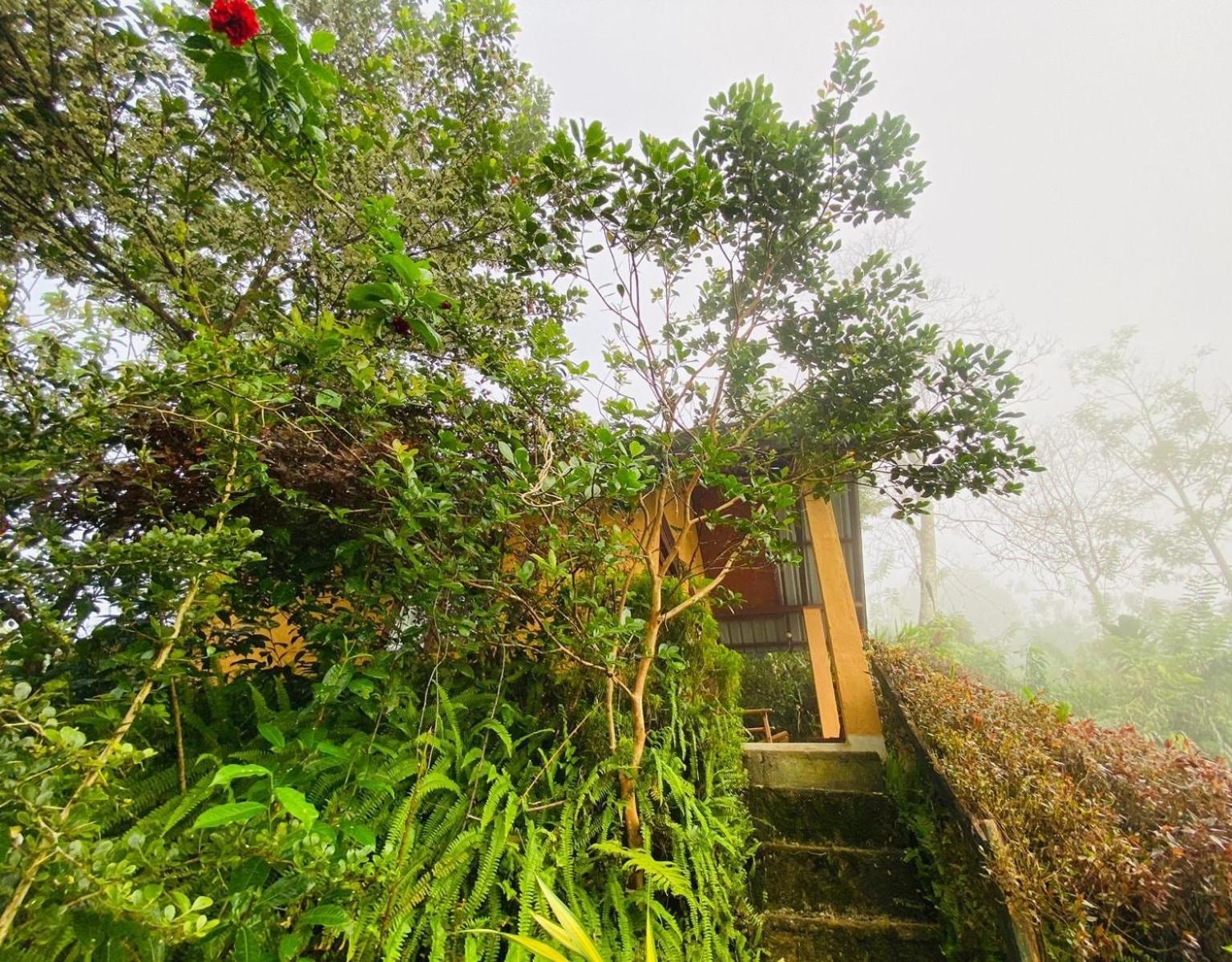 Rainforest Nature House Deniyaya Pokoj fotografie